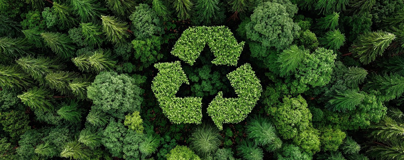 Устойчивое развитие