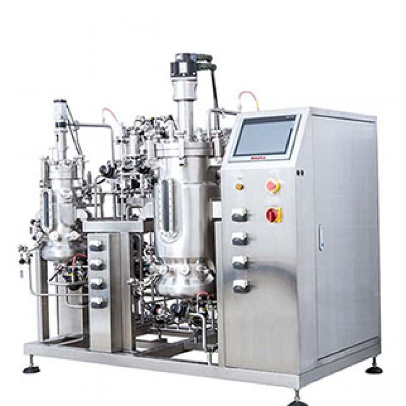 Биоферментация и биофармацевтика