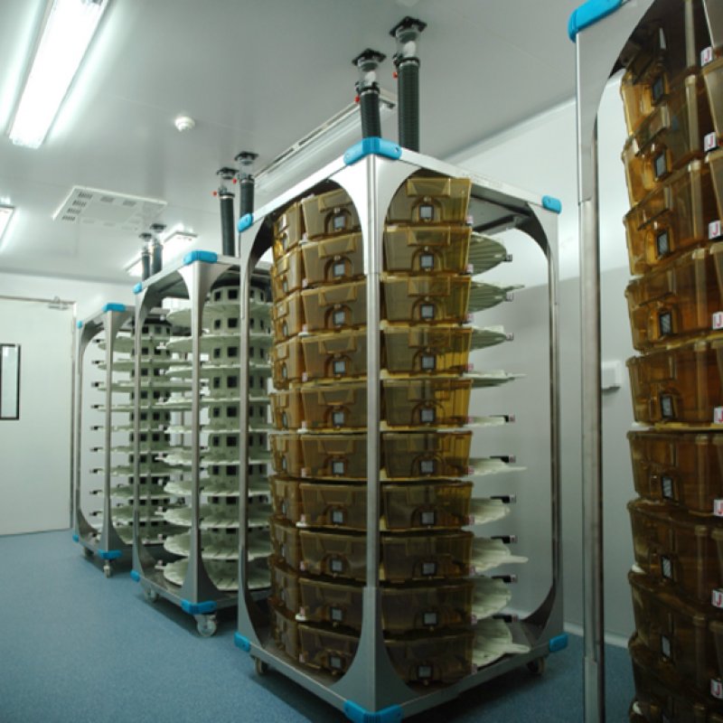 Лаборатория животных