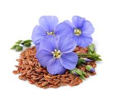 Flax Flax