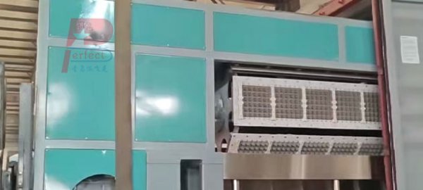 Популярная в Европе автоматическая машина для изготовления бумажных лотков для яиц производительностью 7000 штук в час с металлической сушилкой.