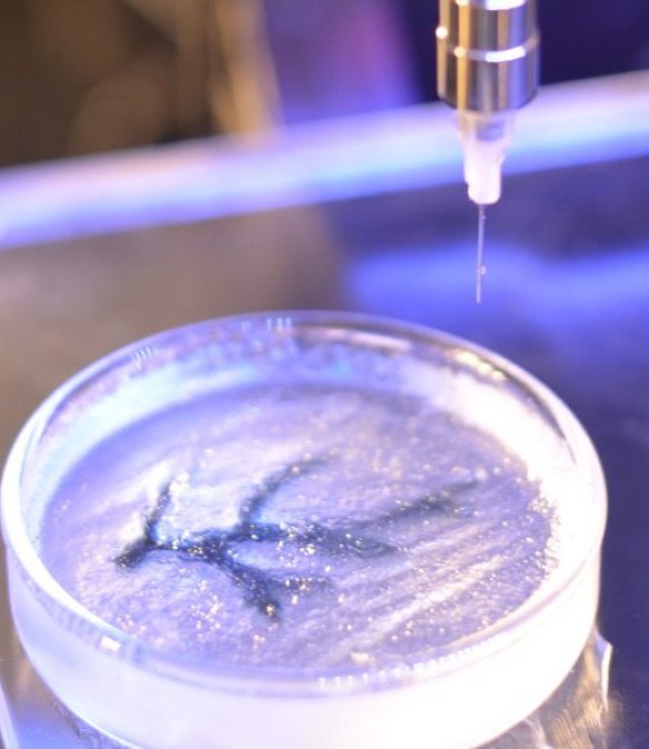 3D-биопечать с использованием биочернил, содержащих клетки: инновации в фотоинициированном сшивании для повышения цитосовместимости.