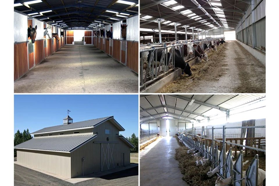 _0000_牛棚2 _0000_牛棚2