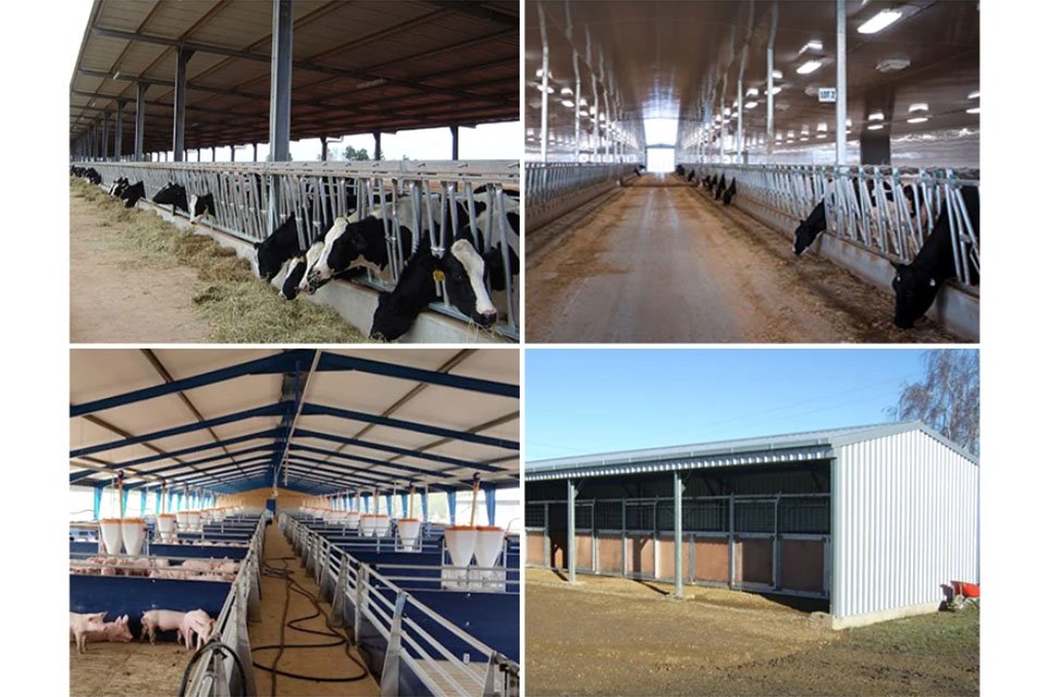 _0001_牛棚1 _0001_牛棚1