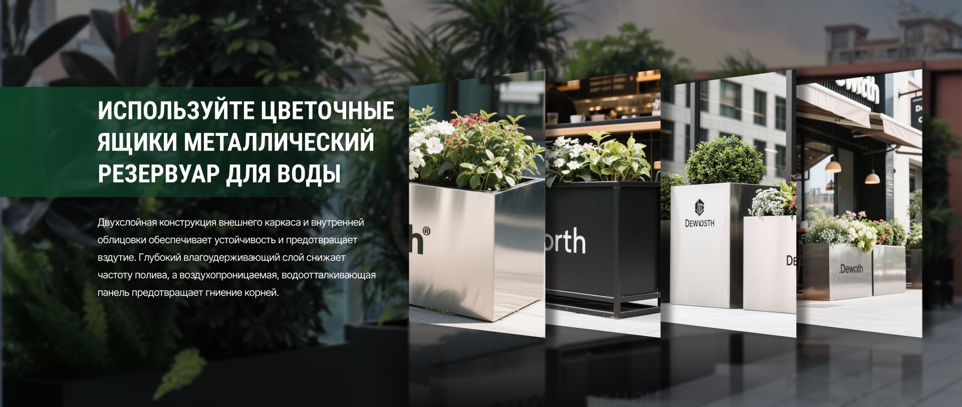 home-banner