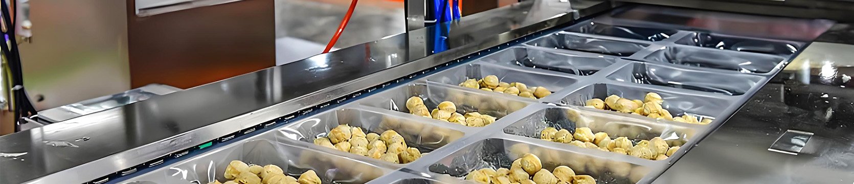 Линия по производству фрикаделек