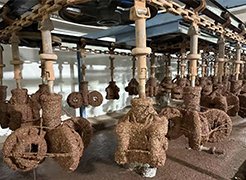 未标题-3_0002_e53d15a727529d1fab7c4f4e24c4544