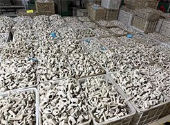 未标题-3_0000_7784ca3413aa0bdcbe387ae3b39410f