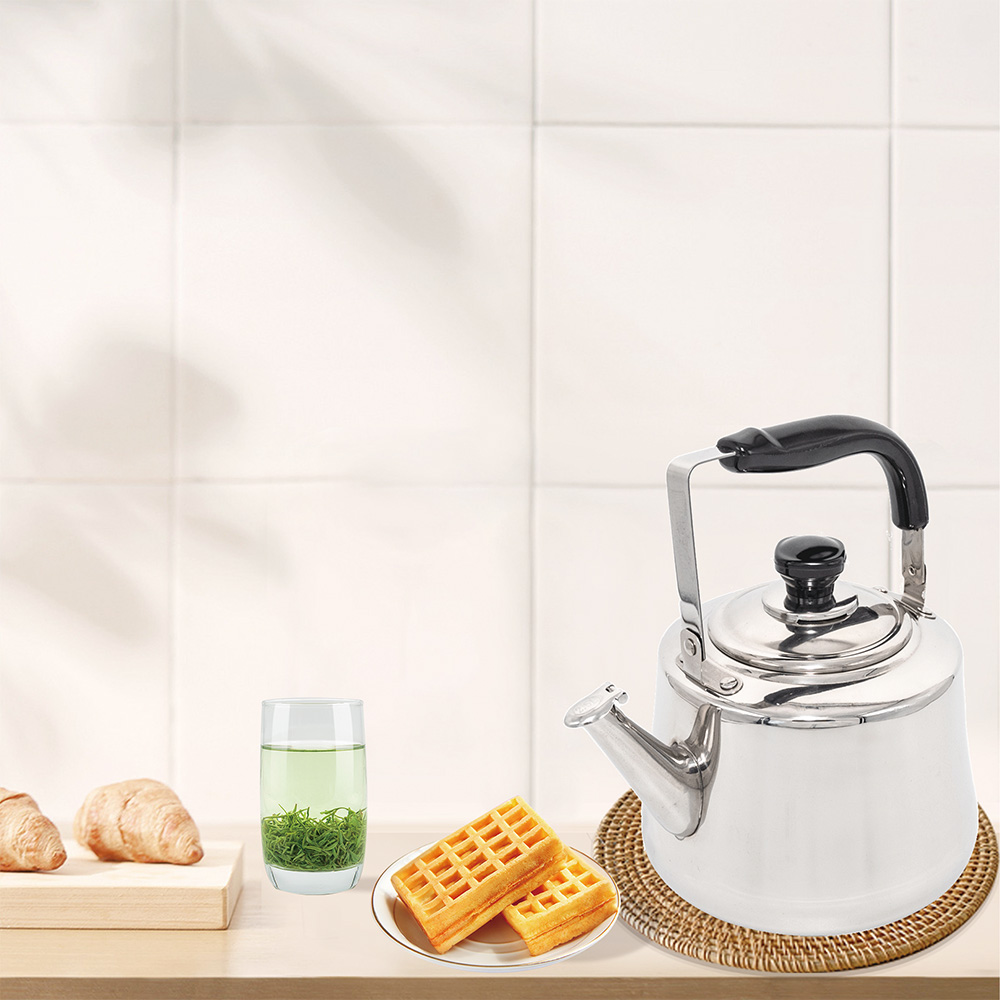 ЧАЙНИК ИЗ НЕРЖАВЕЮЩЕЙ СТАЛИ "PEPSI SUCCESS"