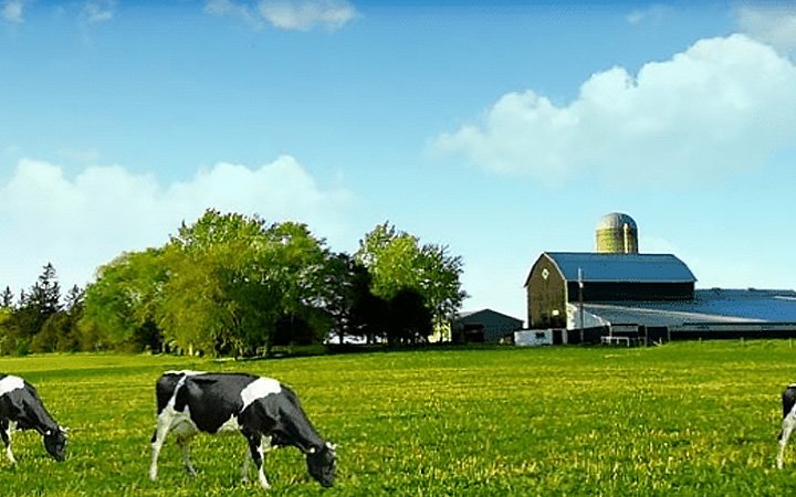 Если вам не удаётся «снизить затраты», начните с деталей, чтобы «повысить эффективность».