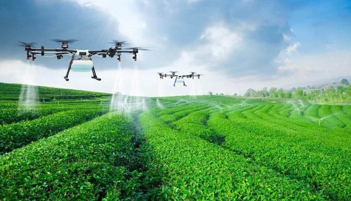 Сельское хозяйство