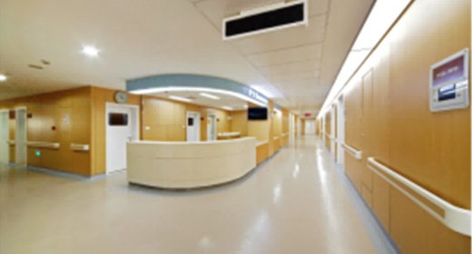 Шаньдун Цзиньчэн — рынок по всему миру