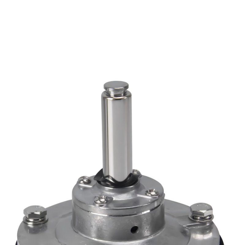 Клапан продувки DMF-Z-25