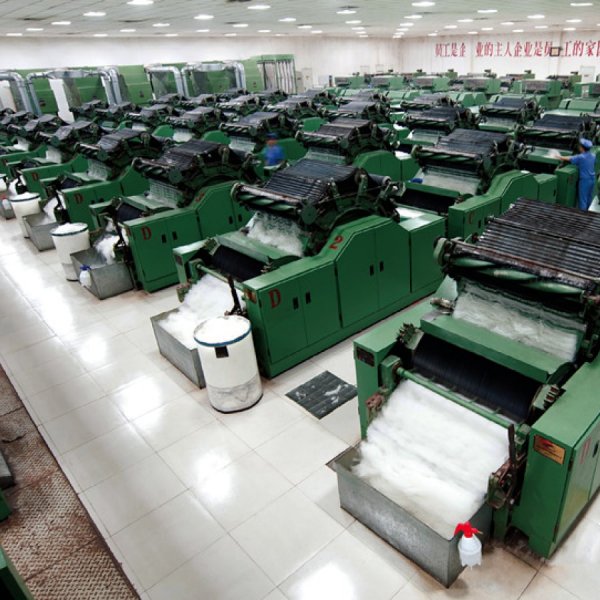 Mongolian Customers 04