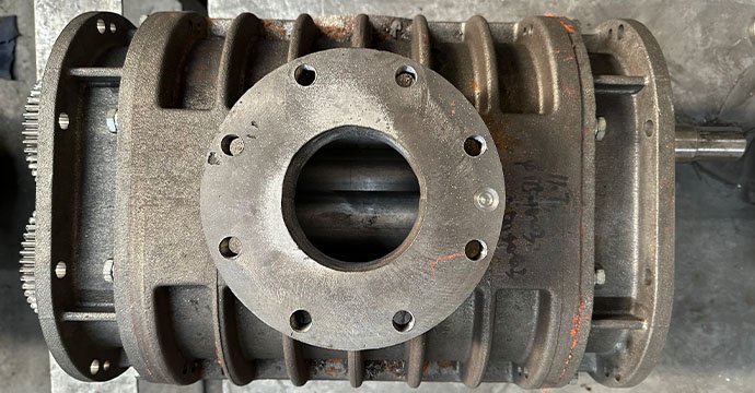 Roots-Blower-Assembly 