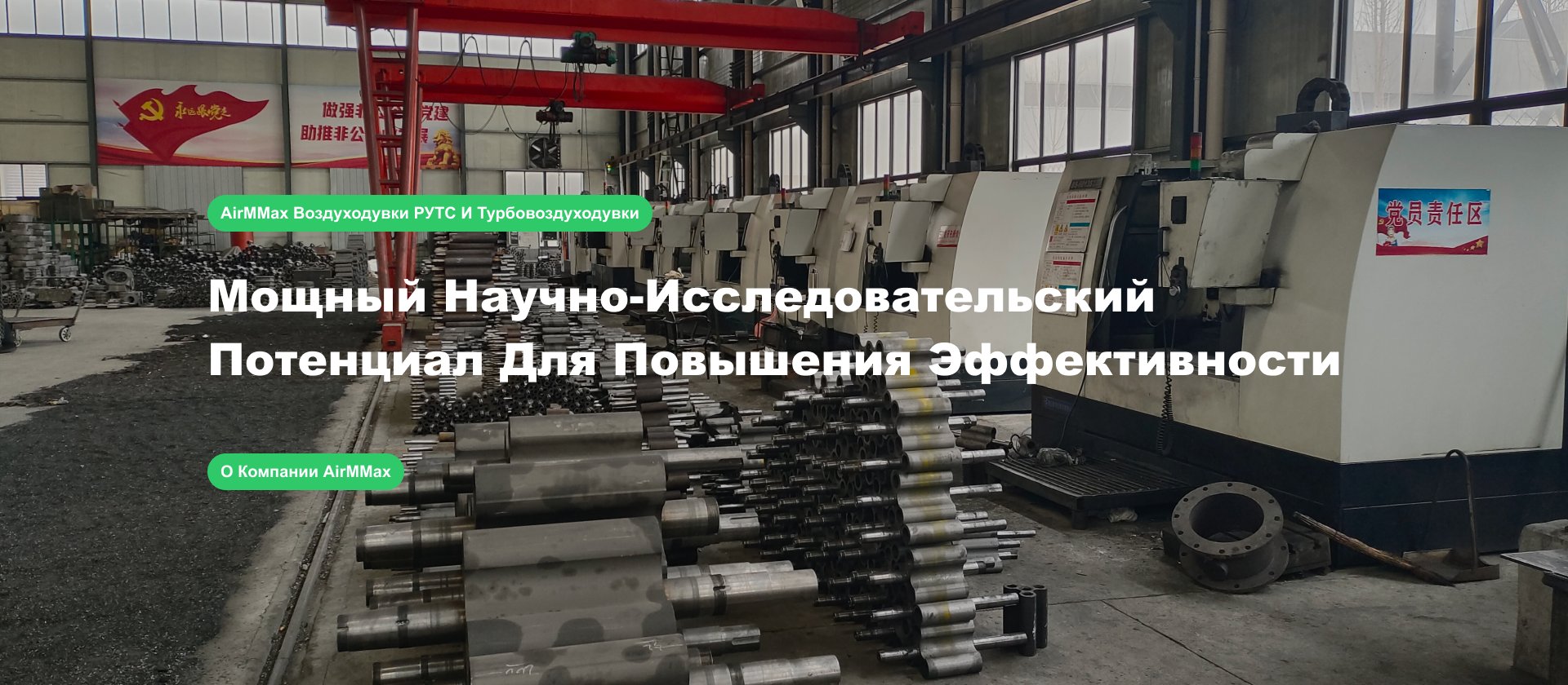 Роторные воздуходувки AirMMax