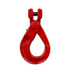 G80 Forged Alloy Steel Hooks-smemach5