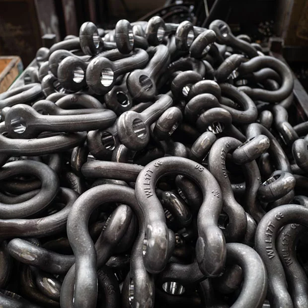Forged Steel Shackle-smemach1