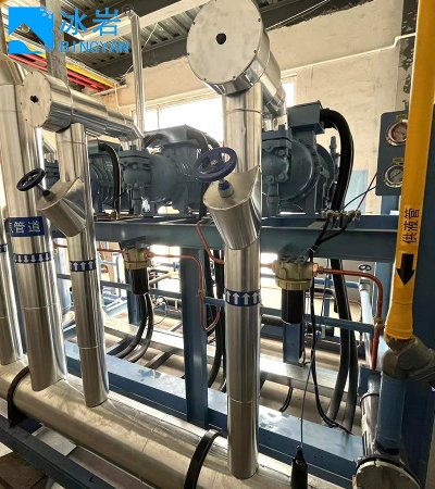 Роторный компрессор высокого давления для холодильных установок