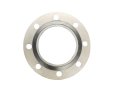 Special Spiral Wound Gasket