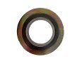 CGI Type Spiral Wound Gasket