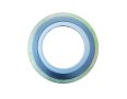 CGI Type Spiral Wound Gasket