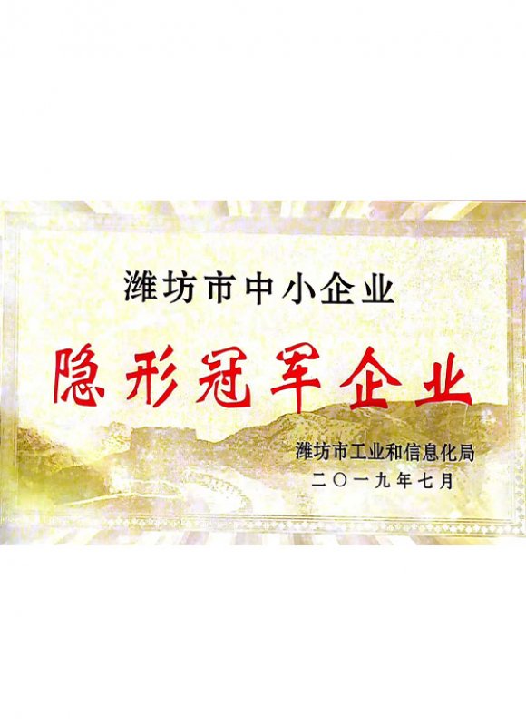 honor Сертификат предприятия «Скрытый чемпион»