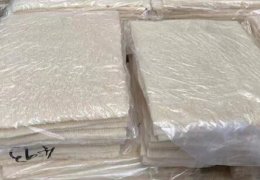 未标题-2_0002_白