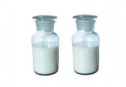 未标题-2_0001_dfd285267d759a6399d45e4336235998