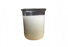 未标题-2_0000_VP1