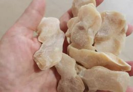 未标题-2_0003_1688 (2)