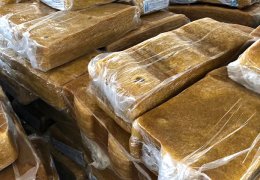 未标题-2_0000_1688 5