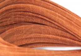 未标题-2_0000_d16c5d1a39bf86283e9411310b87e4b8