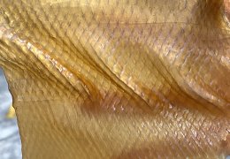 未标题-2_0005_1688