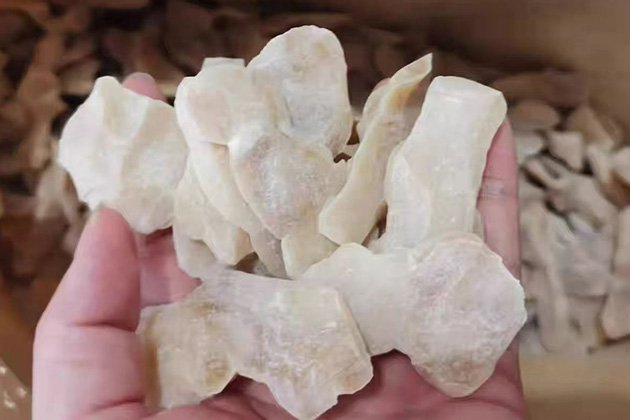 未标题-2_0002_1688