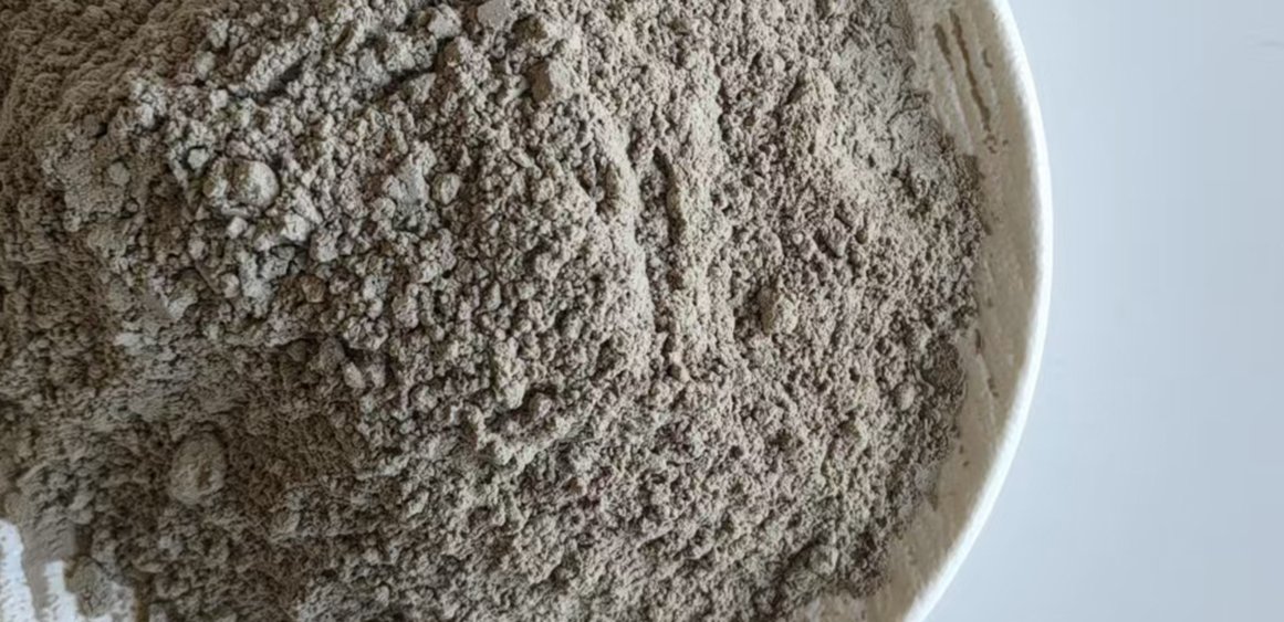 Носитель диатомита