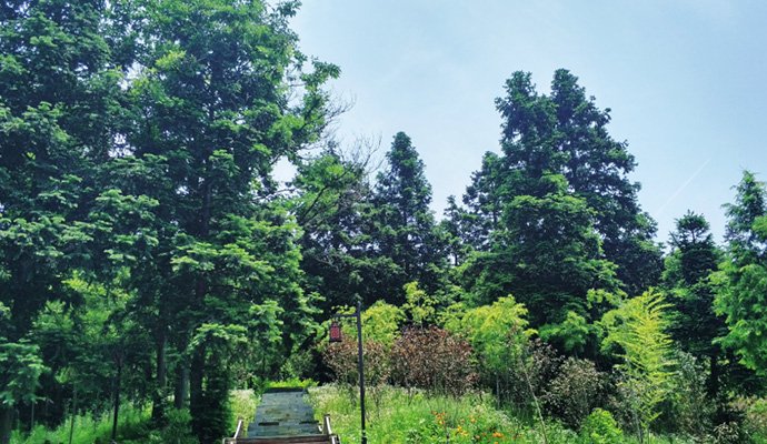 Испаритель