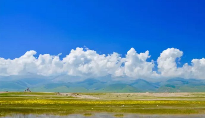 Область очистки выхлопных газов