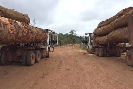 Грузовик для перевозки древесины и бревен Shacman