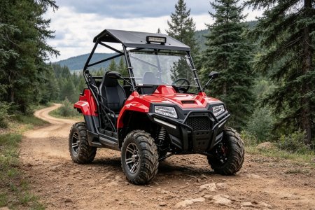 200cc двухместный универсальный UTV