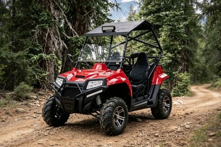 200cc двухместный универсальный UTV