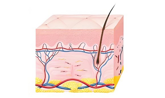 Срок ремонта: от 3 недель до нескольких месяцев.