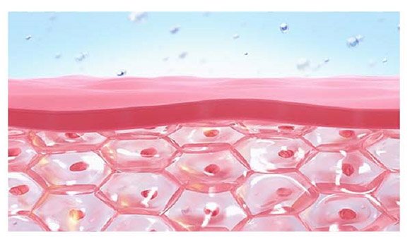 500-600 N/580 -680 NM