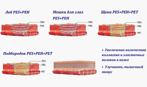 Массаж лица с использованием тепловых и физических техник способствует повышению упругости и омоложению кожи лица.