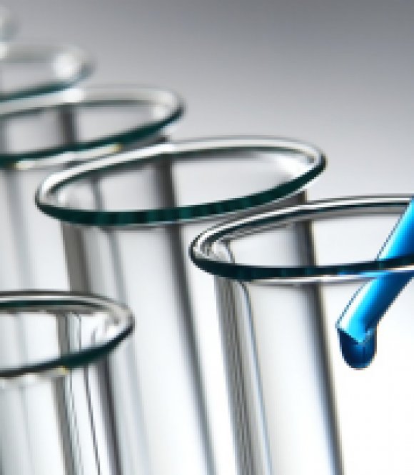 China BDO Market December 2025: Weak Volatility Amid Oversupply & Export Pressure