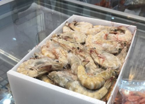 ЯЩИК ДЛЯ РЫБЫ