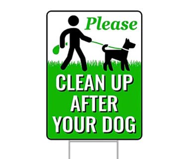 ДВОРОВОЙ ЗНАК