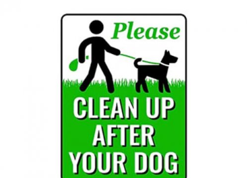 ДВОРОВОЙ ЗНАК