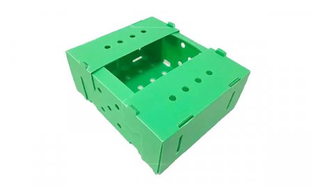 Коробка для упаковки капусты брокколи из полипропиленового листа Crex