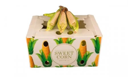 Пластиковый ящик из гофрированного полипропилена